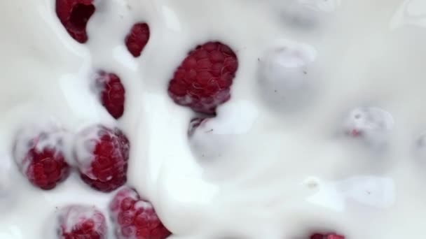 Roze Frambozen Drijvend Dessert Close Witte Oppervlakte Van Zomerbessen Melkyoghurt — Stockvideo