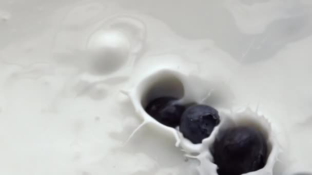 Близько Ягід Заповнюють Молочну Рідину Соковита Органічна Чорниця Плаває Всередині — стокове відео