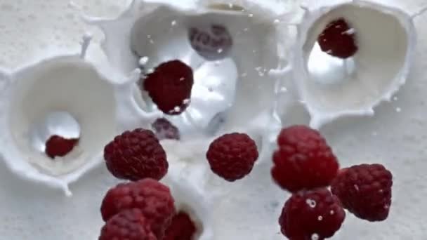 칵테일을 튀기는 분홍색 라즈베리가 액체가 응고되어 있습니다 맛있는 후식은 속에서 — 비디오