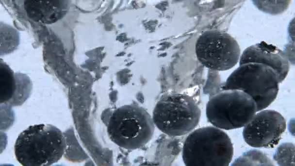 Bagas Suculentas Movendo Dentro Aqua Fizzy Closeup Mirtilos Grandes Que — Vídeo de Stock