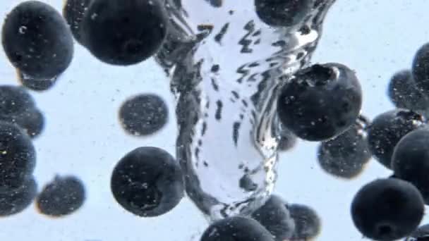 Бульбашкова Акваріумна Воронка Ягодами Всередині Скляного Посуду Крупним Планом Прозорий — стокове відео