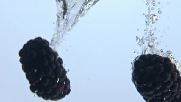Closeup Bramble Bubbling Liquid Drops Ripe Berries Falling Sparkling Water — Stock Video