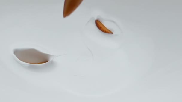 超スローモーションで白いクリーミーなヨーグルトの表面に落ちる熟したアプリコットの作品が閉じます おいしいジューシーな果物は 乳製品デザートの背景に落ちた ビタミンミルクシェイクのための有機天然成分 — ストック動画