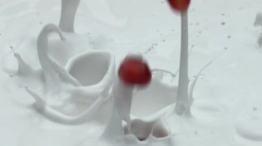 Kırmızı nar taneleri süper yavaş çekimde taze organik süte dökülüyor. Lezzetli malzemelerle doğal süt kokteyli hazırlıyorum. Süt tatlısına sulu meyve ekliyorum. Sağlıklı yemek.