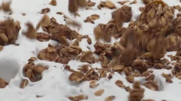 Nalévání Chutné Granoly Čerstvého Přírodního Jogurtu Super Zpomaleném Filmu Zblízka — Stock video