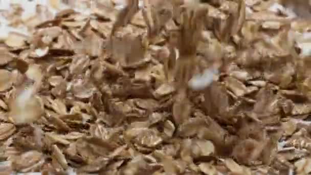 Приготування Вівсянки Натуральним Йогуртом Здорового Сніданку Супер Повільному Русі Крупним — стокове відео