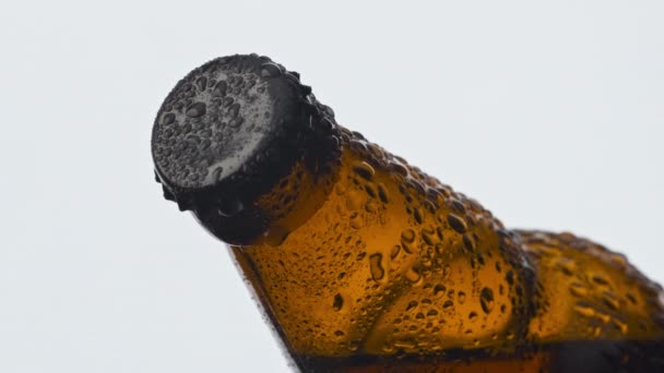 Bouteille Bière Condensat Brun Gros Plan Flacon Boisson Hoppy Ipa — Video