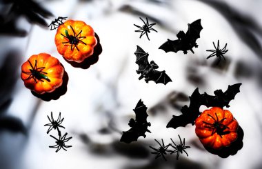 Balkabakları, yarasalar, kopya alanı olan örümcekler ile Cadılar Bayramı beyaz arka planınız kutlu olsun. Sert ışık ve sert gölgeler