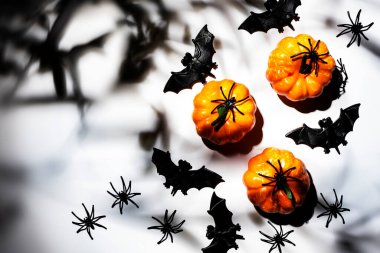 Balkabakları, yarasalar, kopya alanı olan örümcekler ile Cadılar Bayramı beyaz arka planınız kutlu olsun. Sert ışık ve sert gölgeler