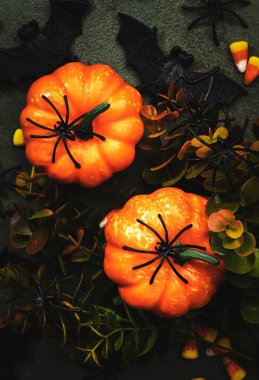 Cadılar Bayramı 'nız kutlu olsun. Balkabakları, yarasalar, örümcekler, kopya alanı olan mısır şekerlemeleri.