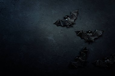 Kopya alanı olan yarasalar ve örümceklerle Cadılar Bayramı 'nın siyah arka planı kutlu olsun.