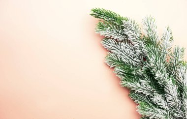 Kar köknar dalları ve üst görünümü olan pembe Noel ya da yeni yıl arkaplanı