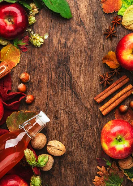 苹果果酒瓶 有肉桂棒 丁香和茴香在木制背景上 传统的秋天 冬季饮料和鸡尾酒 顶级风景 — 图库照片