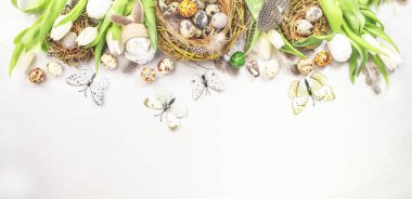 Paskalya bayramı laleleri, bıldırcın yumurtaları, kelebekler, tavşanlar ve yuvadaki tüylerle dolu beyaz arka plan. Fotokopi alanı olan pankart. Üst görünüm