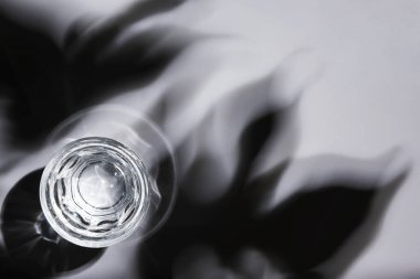 Beyaz zemin üzerinde soğuk votka bardakta sert ışık ve bitki gölgeleri.