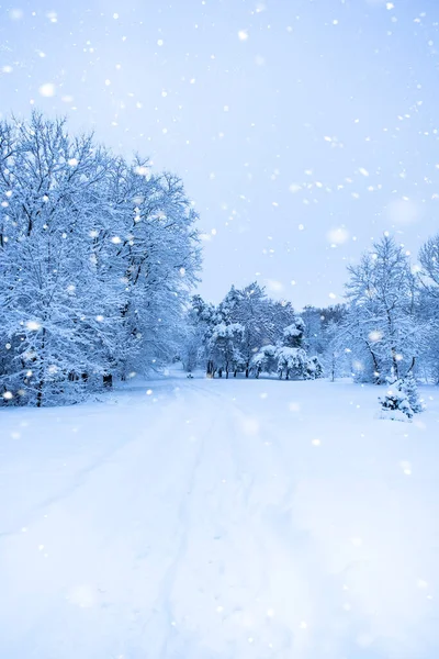 Uma Queda Neve Rua Cidade Com Árvores Cobertas Neve Azul — Fotografia de Stock