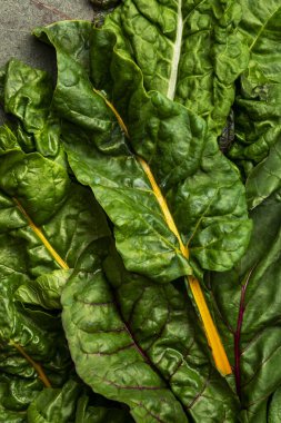 Paslı arka planda gökkuşağı İsviçre pazısı yaprakları, çiğ yeşil yaprak sebzeleri, üst manzara, kopyalama alanı