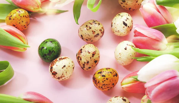 Bahar Paskalya Kompozisyonu Pembe Laleler Çiçekler Pastel Arka Planda Yumurtalar — Stok fotoğraf