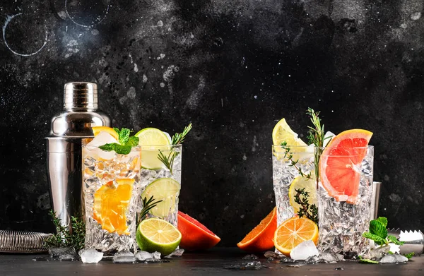 Gin Tonik Citrus Koktélok Beállítva Alkoholos Italok Citrommal Citrommal Grapefruittal — Stock Fotó