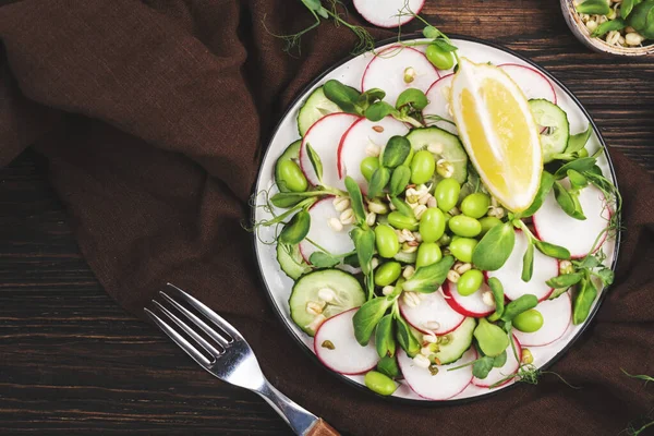 Piring Salad Musim Semi Segar Dengan Lobak Mentimun Kacang Hijau Stok Gambar Bebas Royalti