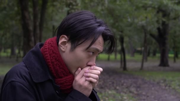 Young Asian man freezes in the park on a cold autumn day. Cold autumn, student freezes outside — Stock Video