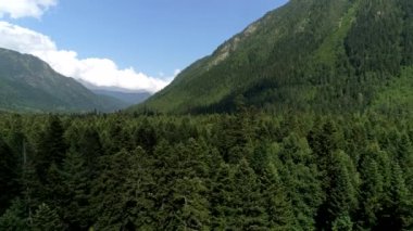 Yeşil orman ve yüksek dağlar, hava manzarası. Doğal park manzarası, güzel orman, mavi gökyüzü ve bulutlar.