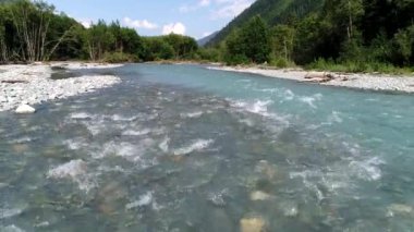 Temiz dağ nehri ve orman. Kayalık nehir ve ağaçlar, vahşi yaşam