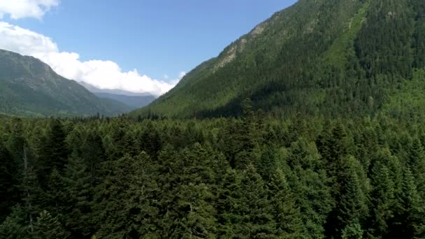 Πράσινο δάσος και ψηλά βουνά, εναέρια θέα. Πανόραμα φυσικό πάρκο, όμορφο δάσος, γαλάζιο ουρανό και σύννεφα — Αρχείο Βίντεο