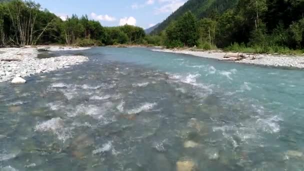 Río y bosque de montaña limpios. Río rocoso y árboles, vida silvestre — Vídeo de stock