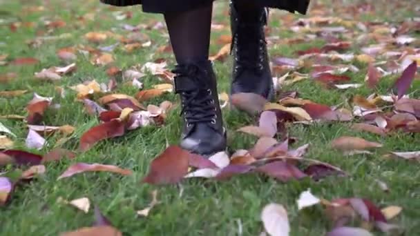 女性の足の秋の葉の上を歩く。秋の公園を歩く女 — ストック動画
