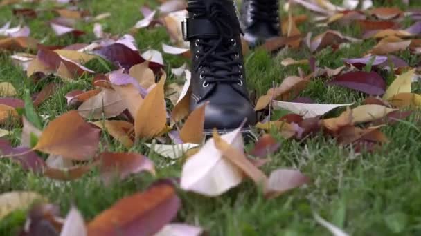 Otoño, las piernas de las mujeres en botas negras están caminando sobre hojas caídas. Calzado de otoño, cámara lenta — Vídeos de Stock