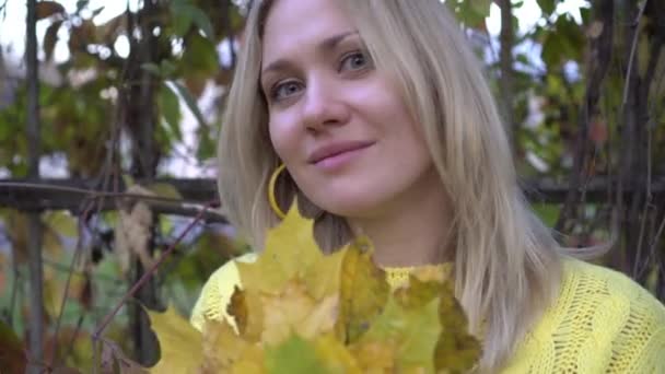 Automne, belle femme aux feuilles d'érable jaunes dans le parc. Style et mode d'automne — Video