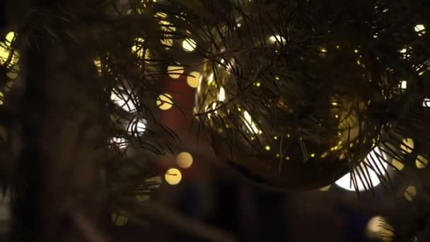 Bola de brinquedo dourada nos ramos de uma árvore de Natal. Decorações de Ano Novo, decoração festiva — Vídeo de Stock