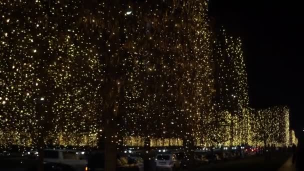 Δέντρα διακοσμημένα με γιρλάντες στο Χριστουγεννιάτικο πάρκο. Όμορφος φωτισμός του δρόμου πριν από τα Χριστούγεννα ή το Νέο Έτος — Αρχείο Βίντεο