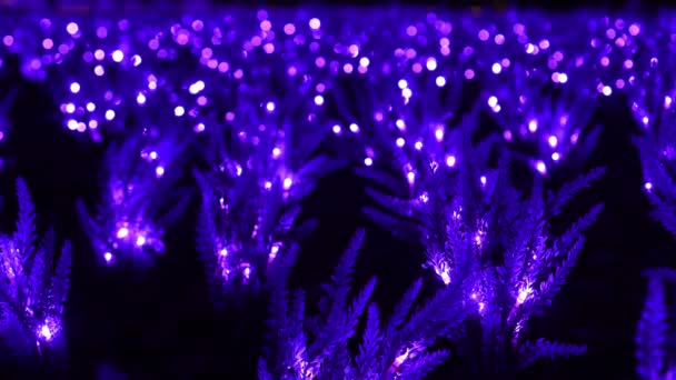 Sábio artificial com luzes LED, decoração de Natal e iluminação do parque — Vídeo de Stock