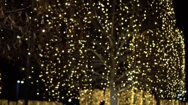 Όμορφος χριστουγεννιάτικος φωτισμός ενός δρόμου της πόλης. Οι γιρλάντες λάμπουν στα δέντρα — Αρχείο Βίντεο