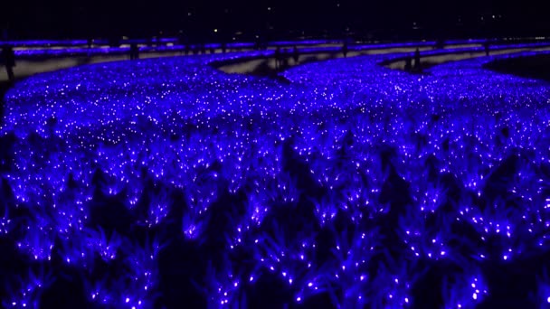 O sábio artificial azul brilha à noite no parque. Iluminação de Natal. Luzes de Ano Novo da cidade da noite — Vídeo de Stock