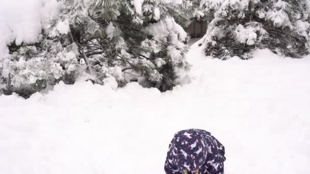 Enfant joue dehors et lance des boules de neige. Joyeux enfant fille en plein air un jour d'hiver — Video