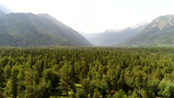 Luftfoto: vild grøn skov med bjerge i baggrunden. Smukt panorama af taigaen. Naturlig baggrund - træer, blandede skove og bjergtoppe Royaltyfrie stock-videoer