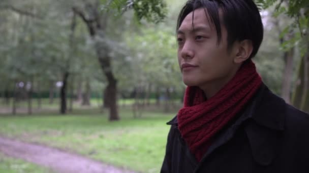 Junger asiatischer Mann trinkt im Park Kaffee zum Mitnehmen. Asiatisch kerl im herbstpark Stock-Filmmaterial