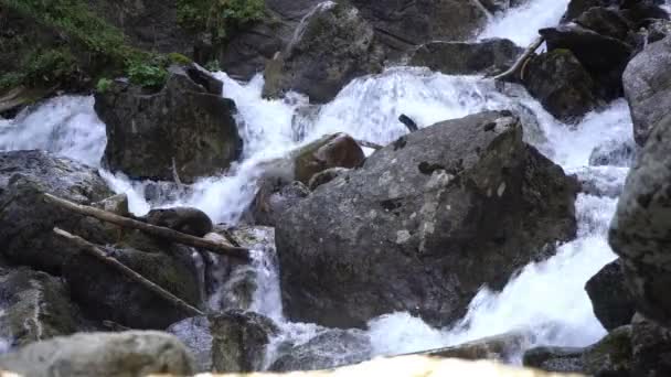 Stürmischer Gebirgsfluss. Ein wunderschöner stürmischer Gebirgsfluss mit klarem Wasser fließt von oben über die Felsen. Wilde und schöne Natur Lizenzfreies Stock-Filmmaterial