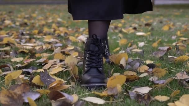 Seorang wanita dengan sepatu hitam bersol tinggi berjalan melalui daun musim gugur kuning, gerakan lambat. Seorang wanita berjalan di taman musim gugur, sepatu modis — Stok Video