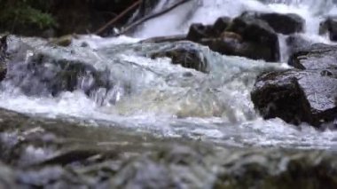 Dağ nehri ya da akarsu, yakın çekim. Ormandaki temiz dağ nehri