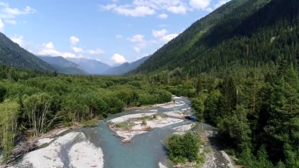 Aerial view: mountain river flows through green forest. Caucasus mountains, river and wild forest Video Clip