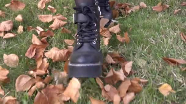 Moderigtigt efterår sko. Kvinde gå på efteråret blade. En person i støvler går på græsset med tørre gule blade. Efterårstid Royaltyfrie stock-videoer