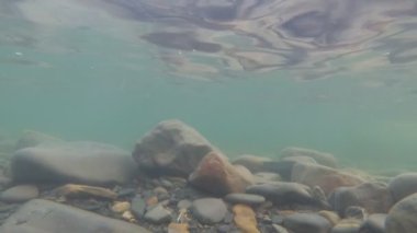 Deniz taşı dibi, su altı videosu. Balık ve bitkiler olmadan cansız deniz. Nehir, deniz veya göl suyu
