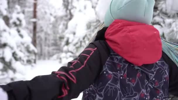 木々や雪の公園を背景に幸せな女性。冬の自然を楽しむ女 — ストック動画