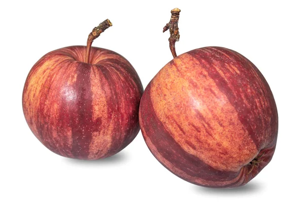 Krásná Různorodá Jablka Izolovaná Bílém Pozadí Ovoce Zelenina — Stock fotografie