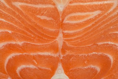 Çiğ somon fileto dokusu kapanıyor. Balık ve deniz ürünleri 