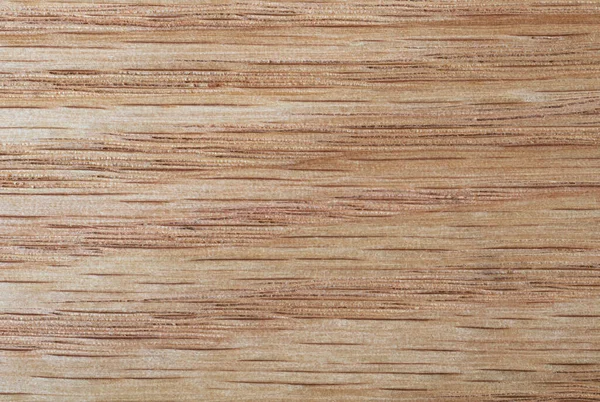 Horizontal Fiber Beech Wood Texture Natural Backgrounds Textures Stock Photo